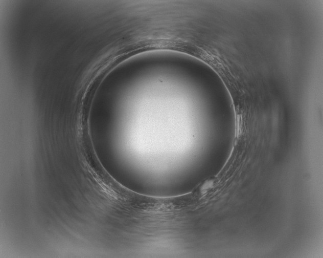 X0000073870243200608101517