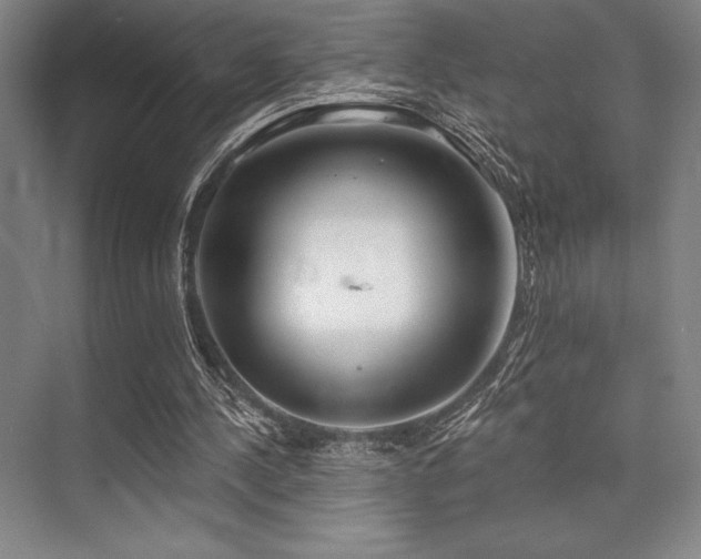 X0000073870244200608101517