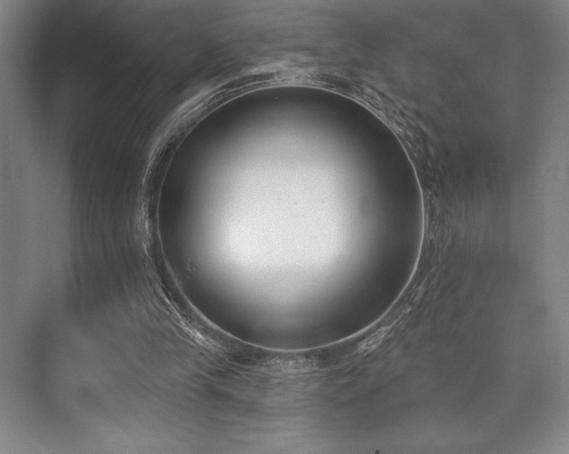 X0000073870245200608101517