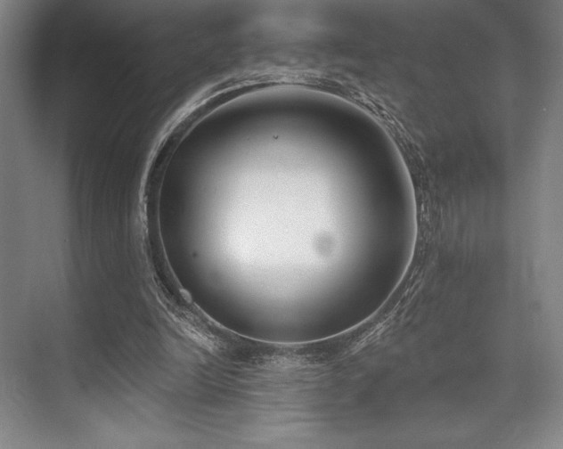 X0000073870246200608101517