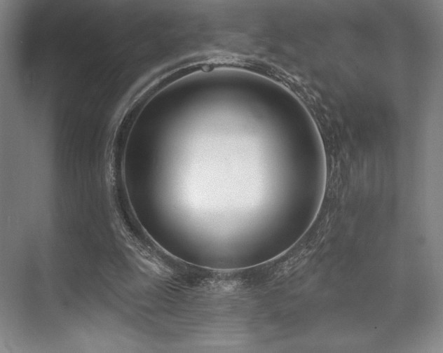 X0000073870247200608101517