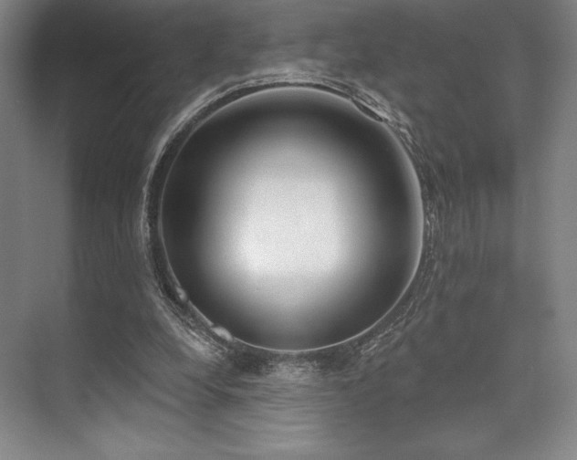 X0000073870248200608101517