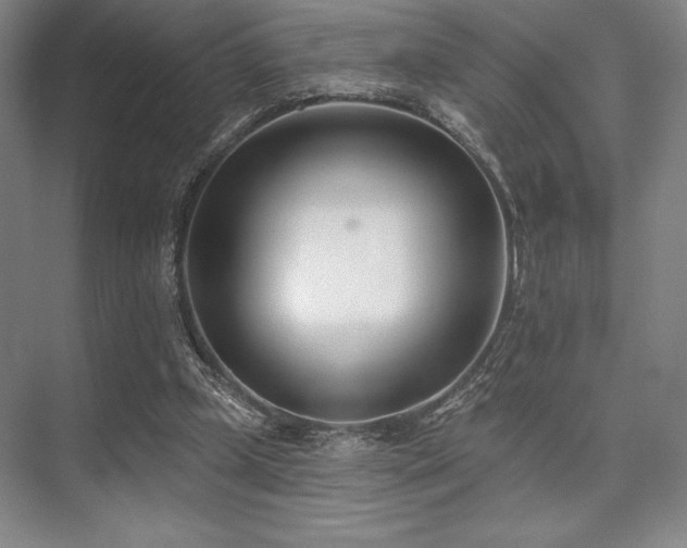 X0000073870249200608101517