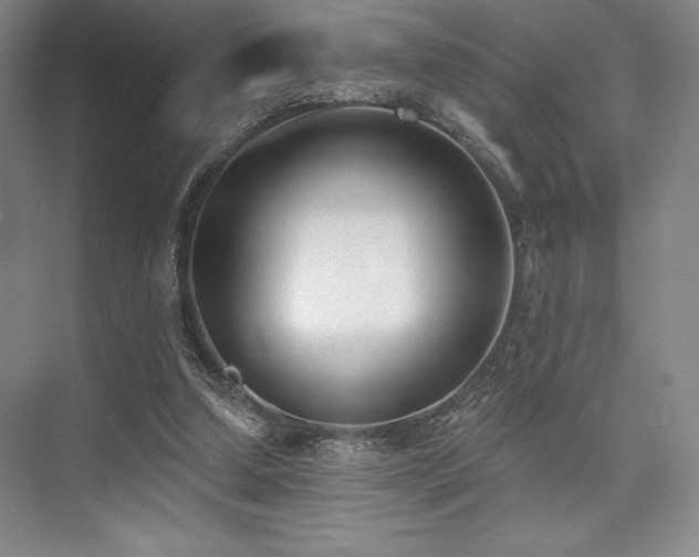 X0000073870250200608101517