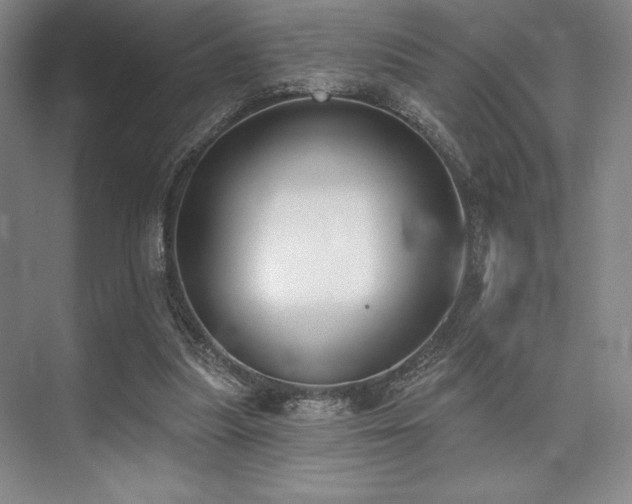 X0000073870251200608101517