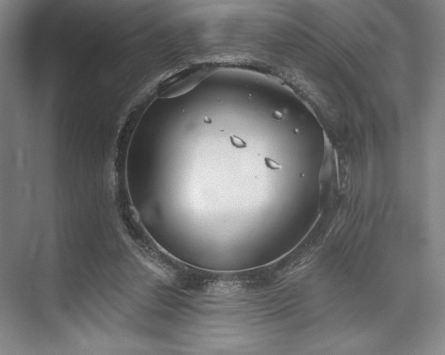 X0000073870252200608101517