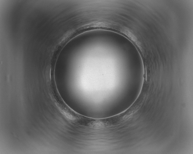 X0000073870253200608101517