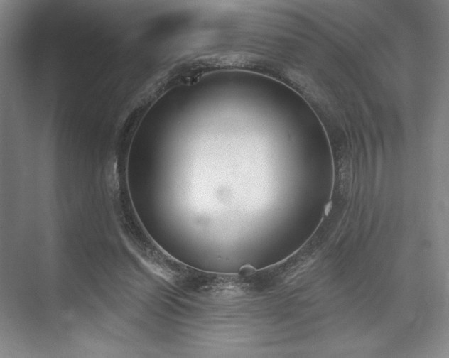 X0000073870254200608101517