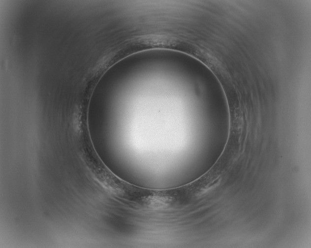 X0000073870255200608101517