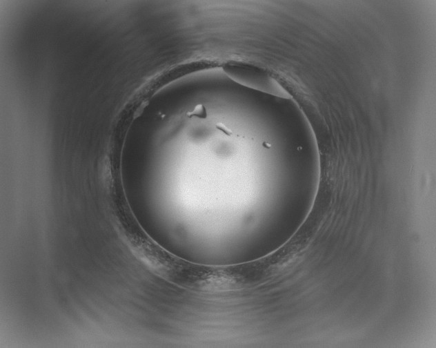 X0000073870256200608101517