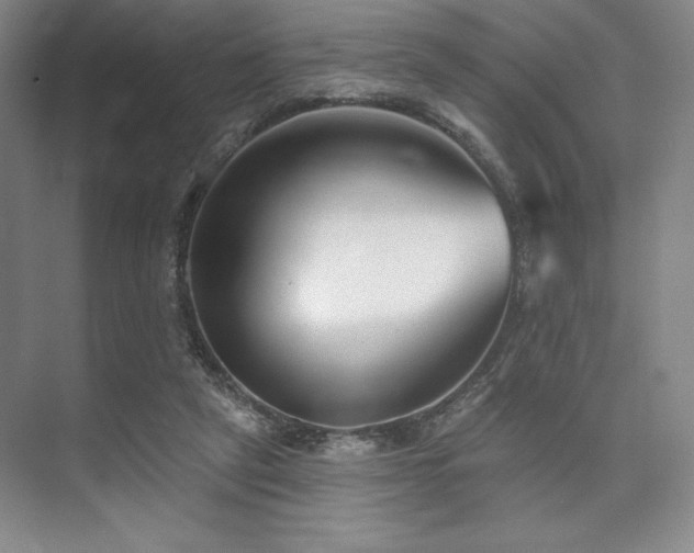 X0000073870257200608101517