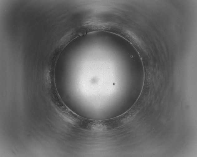 X0000073870258200608101517