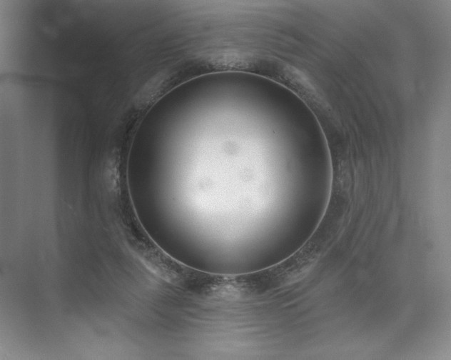 X0000073870259200608101517