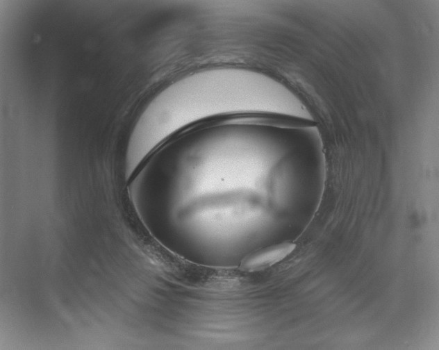 X0000073870260200608101517