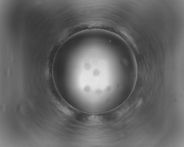 X0000073870261200608101517