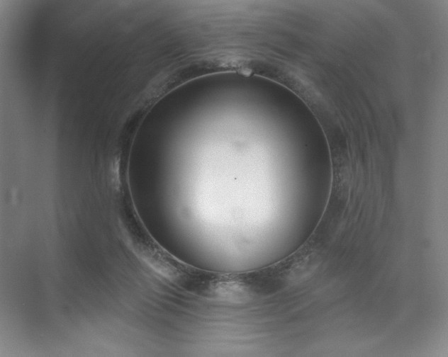 X0000073870262200608101517