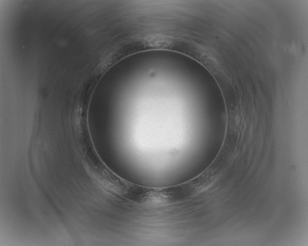 X0000073870263200608101517