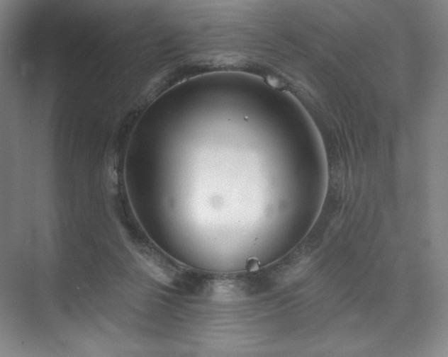 X0000073870264200608101517