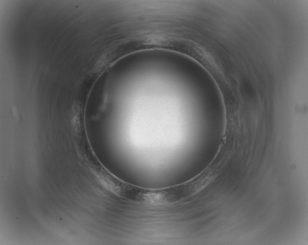 X0000073870265200608101517