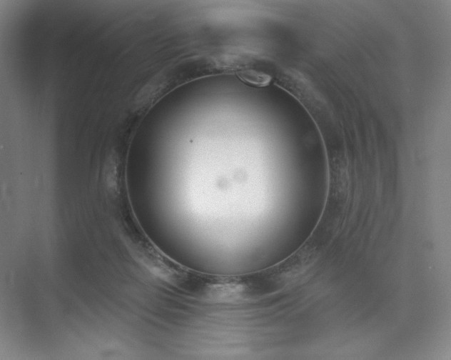 X0000073870266200608101517