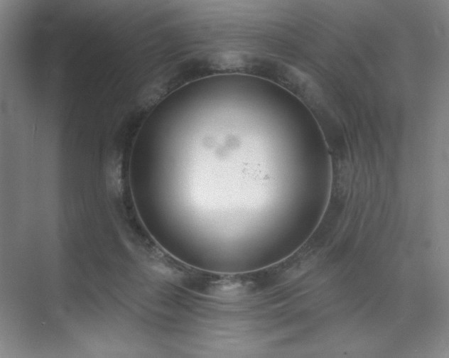 X0000073870267200608101517