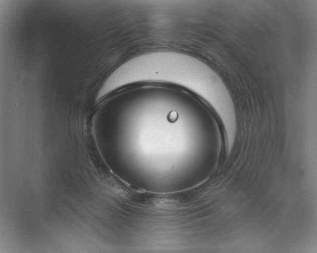 X0000073870268200608101517