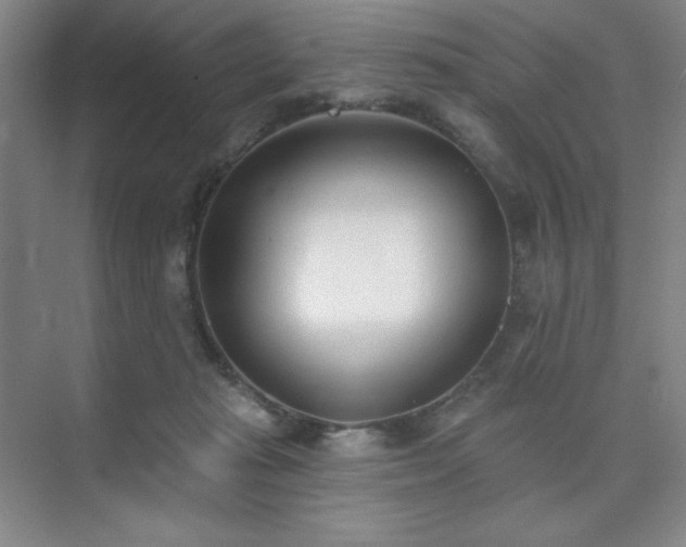 X0000073870269200608101517