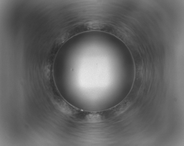 X0000073870271200608101517