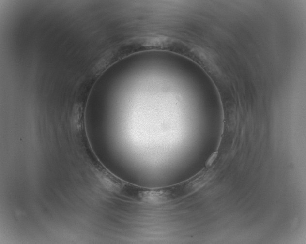 X0000073870273200608101517