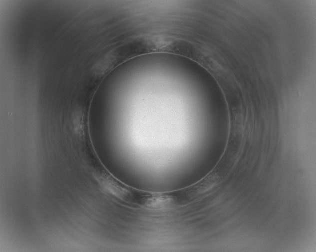 X0000073870274200608101517