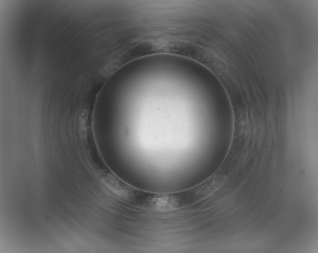 X0000073870275200608101517