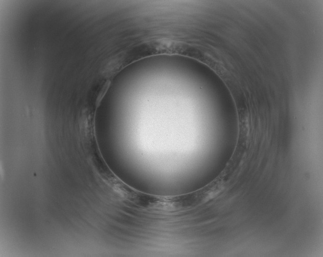 X0000073870276200608101517