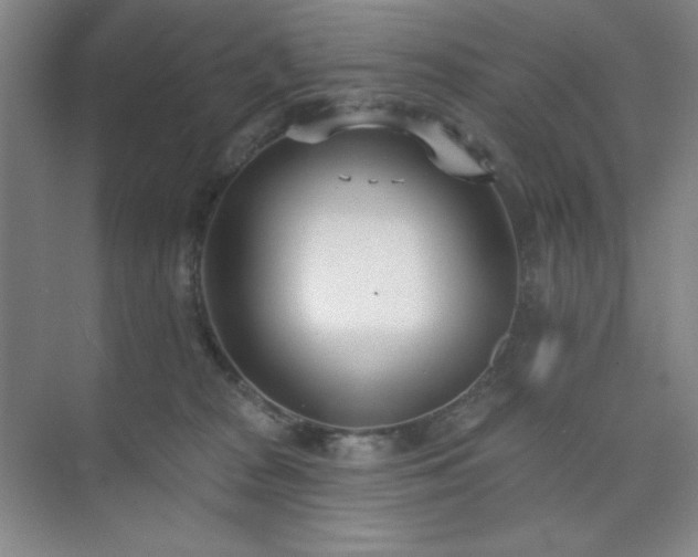 X0000073870277200608101517