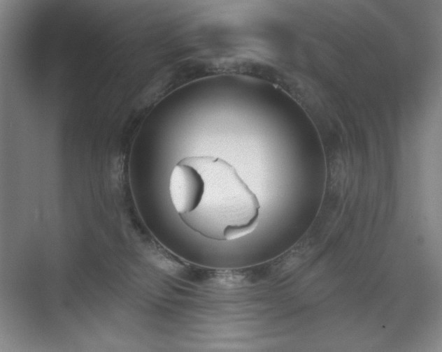 X0000073870278200608101517