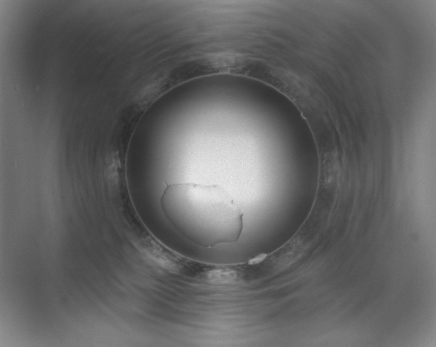 X0000073870279200608101517