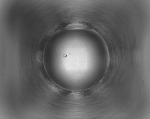 X0000073870280200608101517