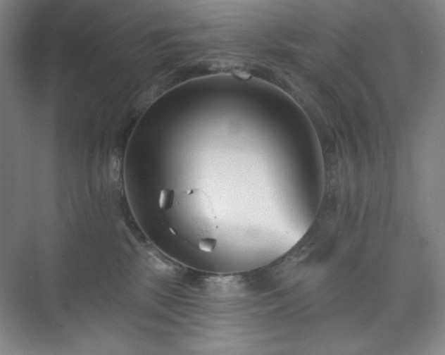 X0000073870281200608101517