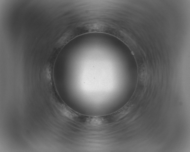 X0000073870282200608101517