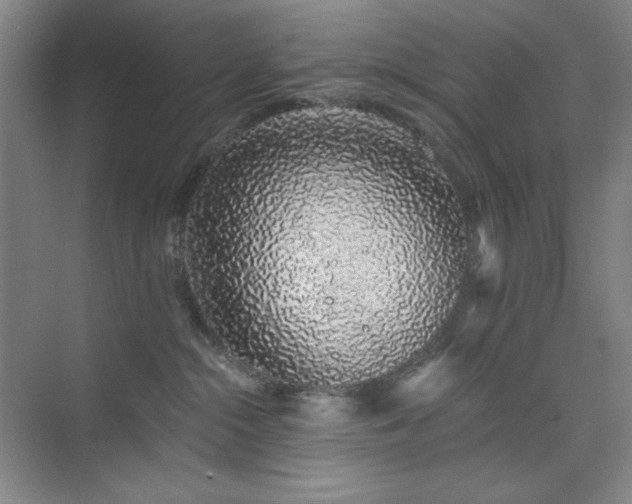 X0000073870284200608101517