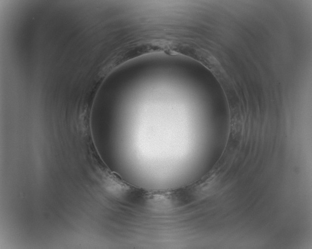 X0000073870285200608101517