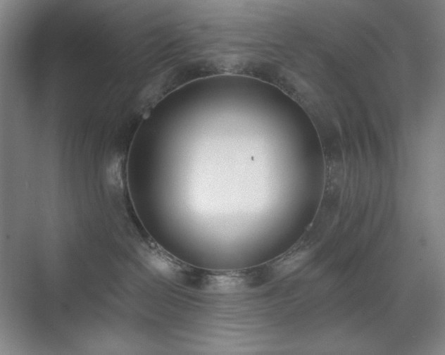 X0000073870286200608101518