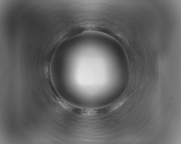 X0000073870288200608101518