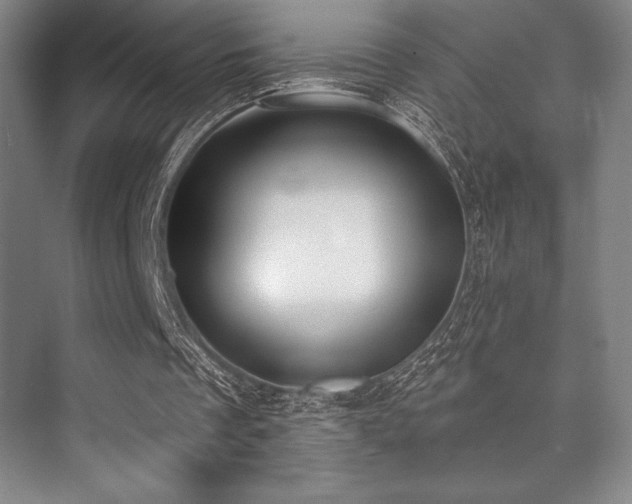 X0000073870289200608101517