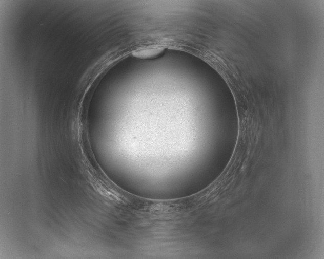 X0000073870290200608101517