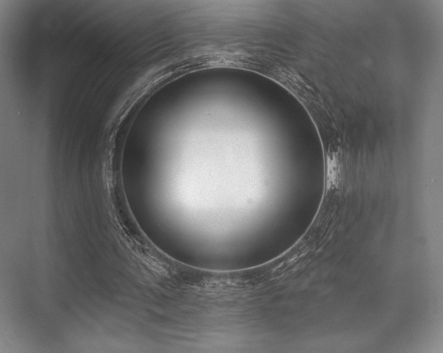 X0000073870291200608101517