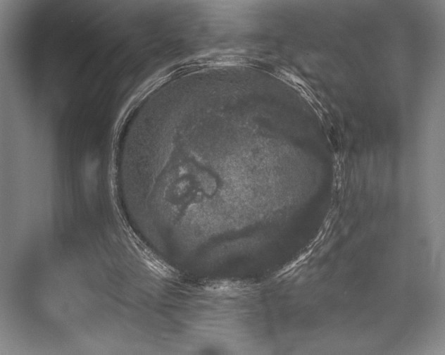 X0000073870293200608101517