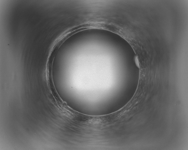 X0000073870294200608101517