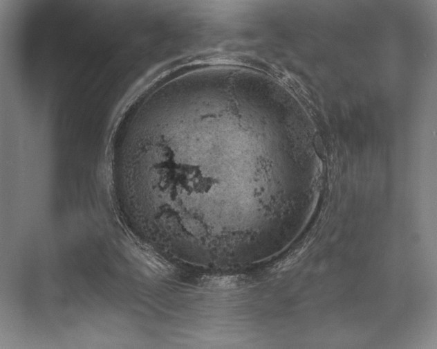 X0000073870295200608101517