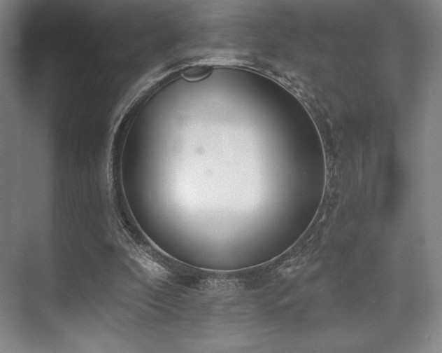 X0000073870296200608101517