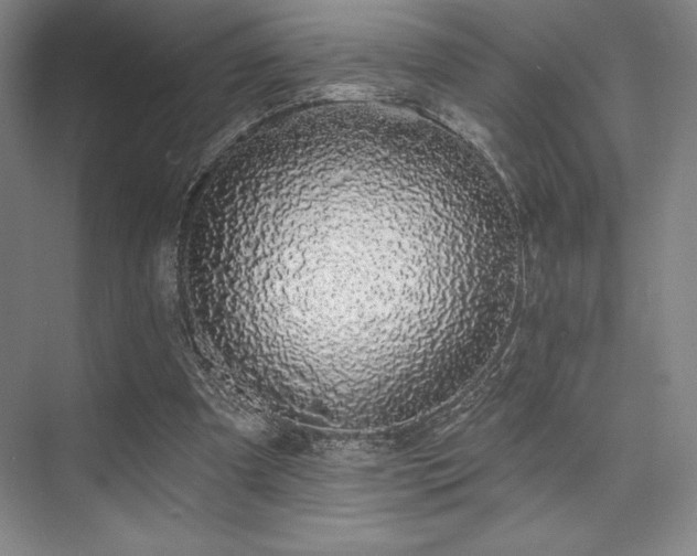 X0000073870297200608101517